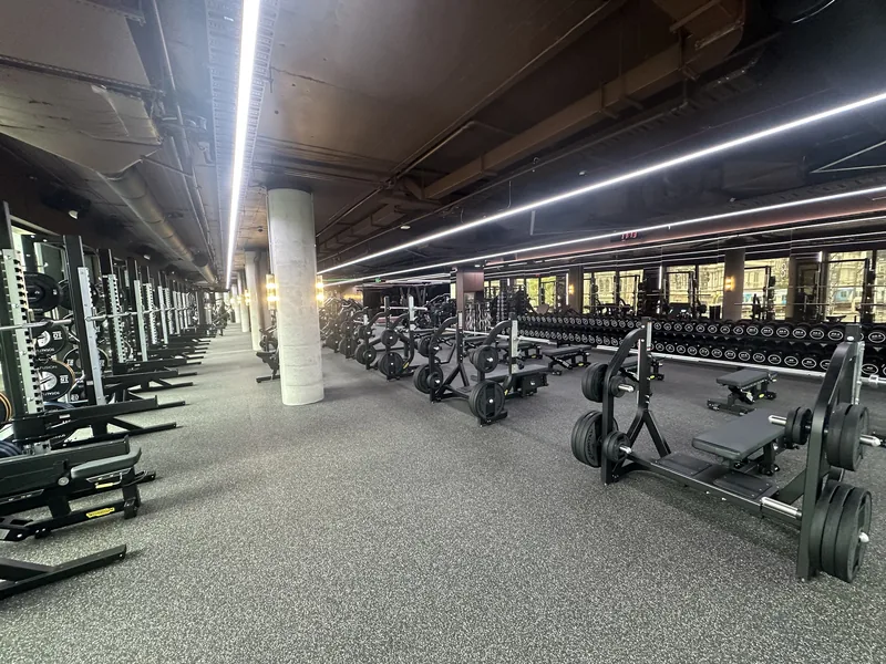 Dumbbell run and bench zone with a continuous rubber floor